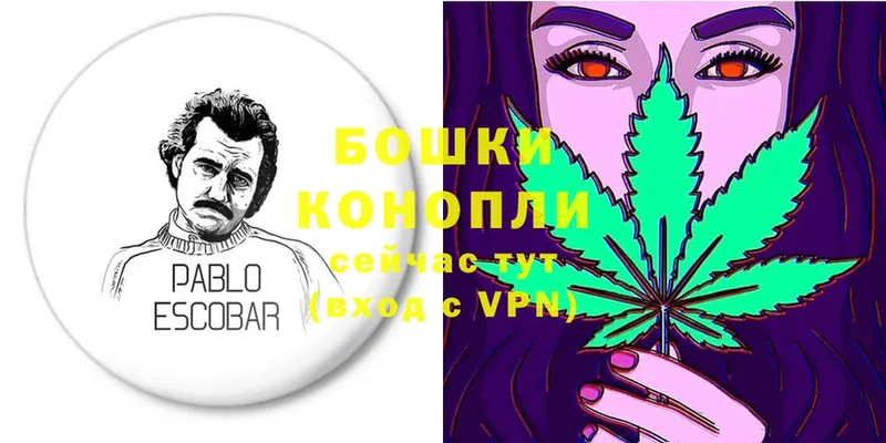 Каннабис OG Kush  Луза 